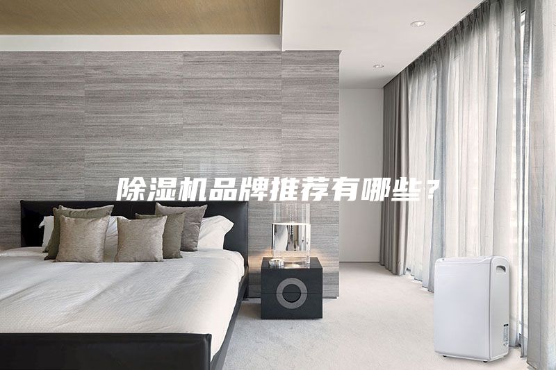 除濕機品牌推薦有哪些？