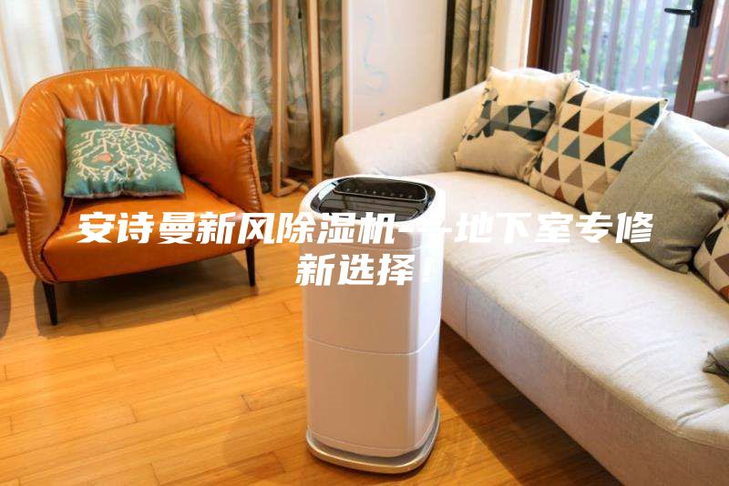 安詩(shī)曼新風(fēng)除濕機(jī)---地下室專修新選擇！