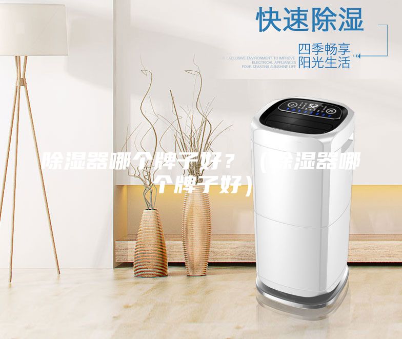 除濕器哪個牌子好？（除濕器哪個牌子好）