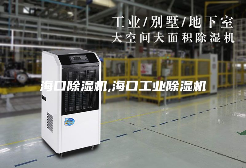 ?？诔凉駲C,?？诠I除濕機