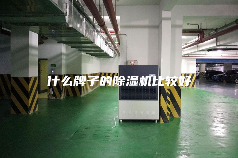 什么牌子的除濕機比較好