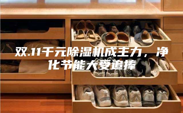 雙.11千元除濕機(jī)成主力，凈化節(jié)能大受追捧