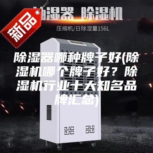 除濕器哪種牌子好(除濕機(jī)哪個(gè)牌子好？除濕機(jī)行業(yè)十大知名品牌匯總)