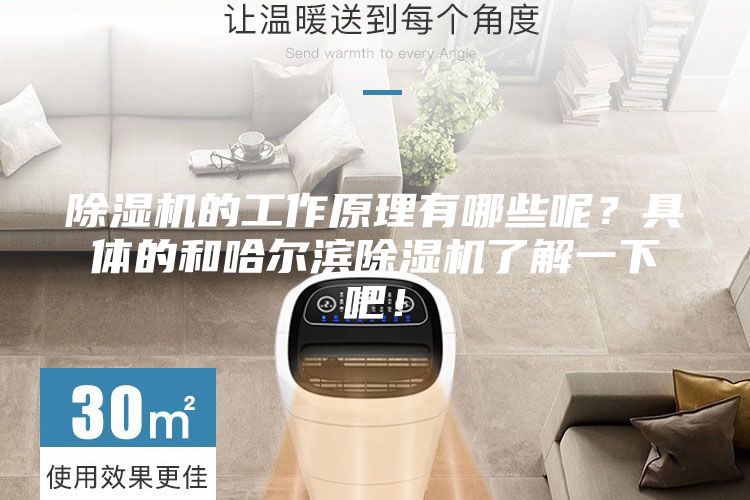 除濕機的工作原理有哪些呢？具體的和哈爾濱除濕機了解一下吧！