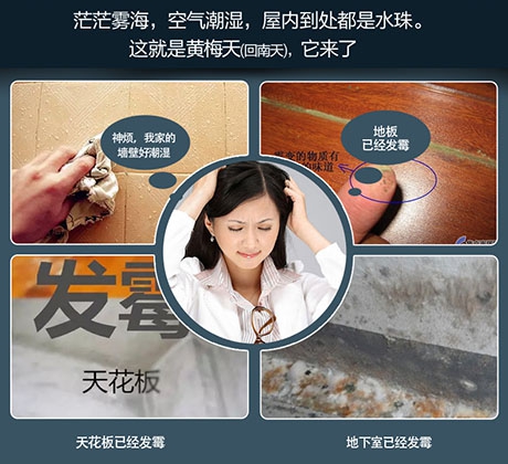 知否知否，國內十大除濕機品牌