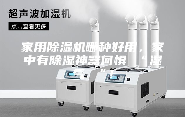 家用除濕機(jī)哪種好用，家中有除濕神器何懼 “濕氣 “！