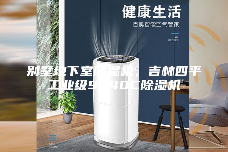 別墅地下室除濕機(jī)，吉林四平工業(yè)級(jí)9240C除濕機(jī)