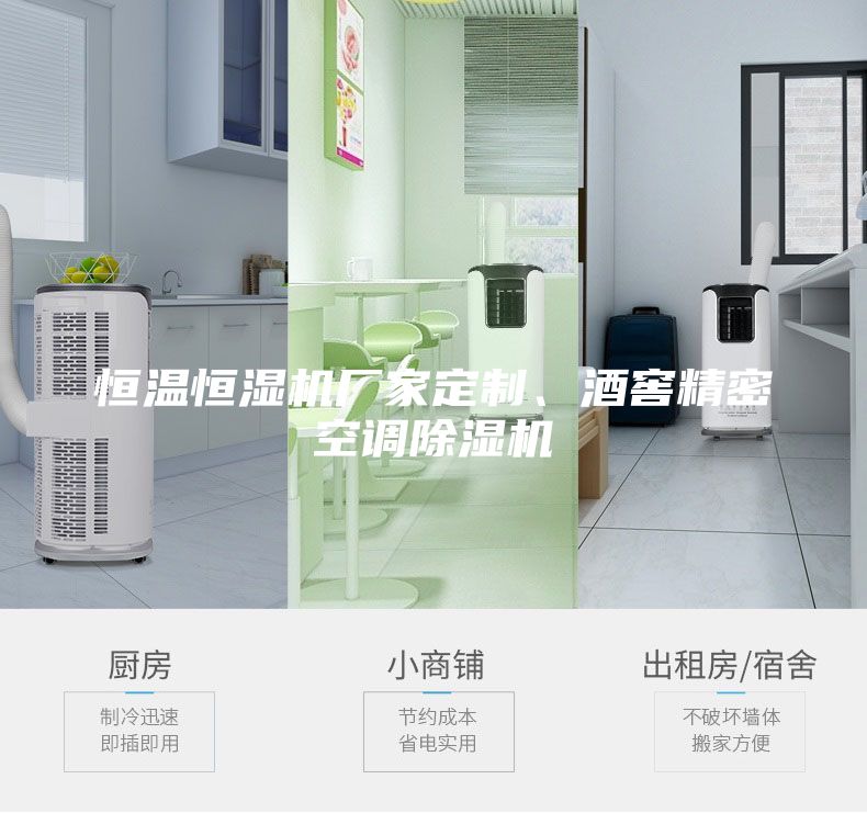 恒溫恒濕機(jī)廠家定制、酒窖精密空調(diào)除濕機(jī)