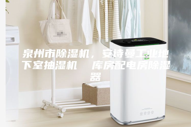 泉州市除濕機，安詩曼工業地下室抽濕機  庫房配電房除濕器