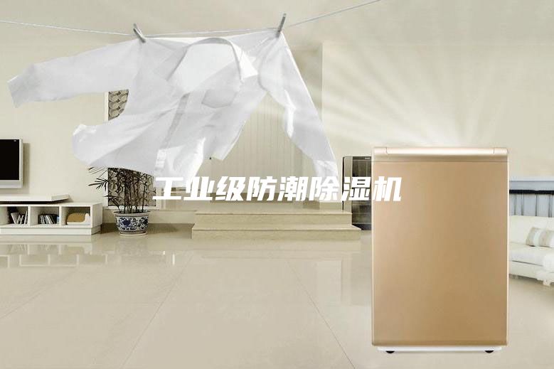 工業級防潮除濕機