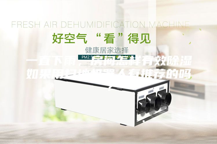 一直下雨，房間怎樣有效除濕如果用掃地機器人有推薦的嗎？