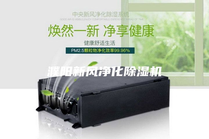 濮陽(yáng)新風(fēng)凈化除濕機(jī)