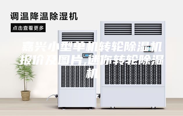 嘉興小型單機(jī)轉(zhuǎn)輪除濕機(jī)報(bào)價(jià)及圖片,迷你轉(zhuǎn)輪除濕機(jī)