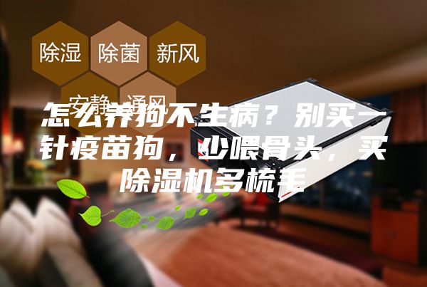 怎么養(yǎng)狗不生??？別買一針疫苗狗，少喂骨頭，買除濕機(jī)多梳毛