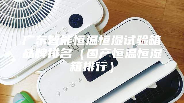廣東智能恒溫恒濕試驗箱品牌排名（國產恒溫恒濕箱排行）