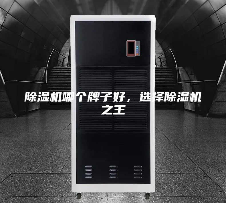 除濕機哪個牌子好，選擇除濕機之王