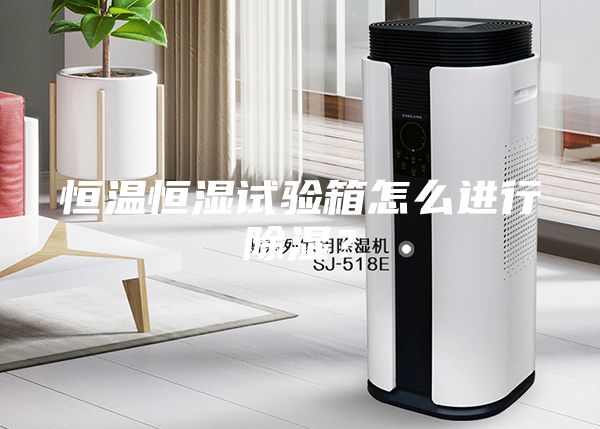 恒溫恒濕試驗(yàn)箱怎么進(jìn)行除濕？