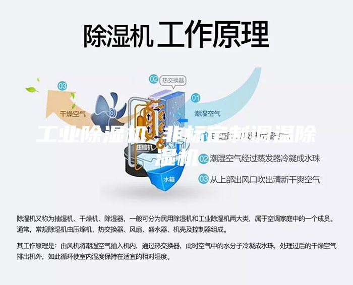 工業(yè)除濕機(jī) 非標(biāo)定制調(diào)溫除濕機(jī)