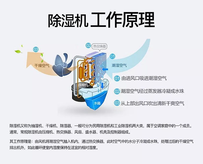 蜈蚣出沒潮濕區(qū)，安詩曼除濕機消除蜈蚣隱患