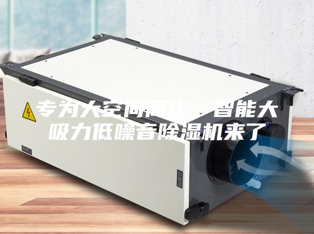 專為大空間而生，智能大吸力低噪音除濕機(jī)來了