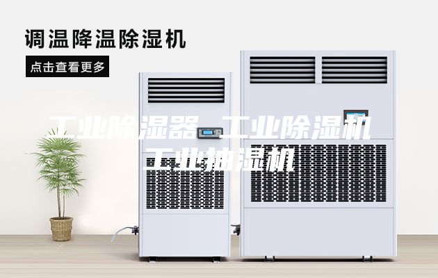 工業(yè)除濕器 工業(yè)除濕機 工業(yè)抽濕機