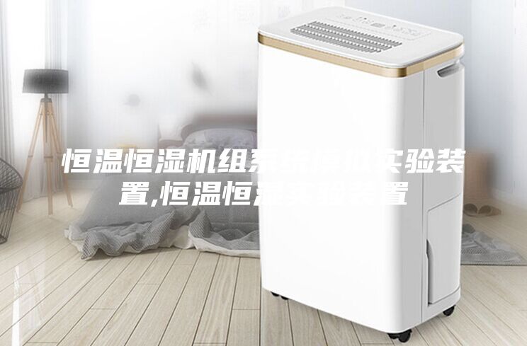 恒溫恒濕機組系統(tǒng)模擬實驗裝置,恒溫恒濕實驗裝置