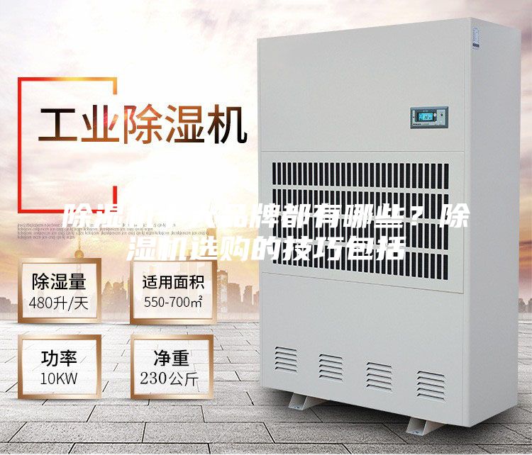 除濕機(jī)十大品牌都有哪些？除濕機(jī)選購的技巧包括