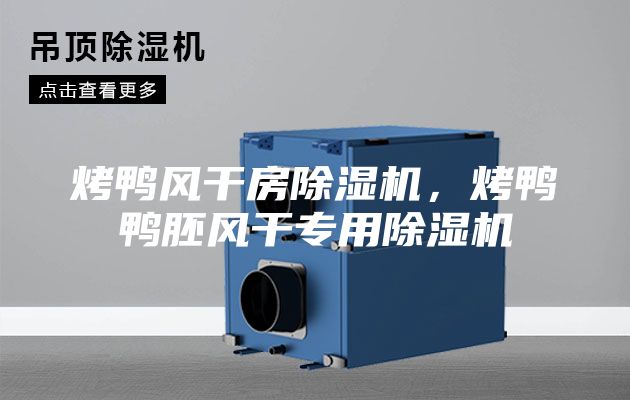 烤鴨風(fēng)干房除濕機，烤鴨鴨胚風(fēng)干專用除濕機