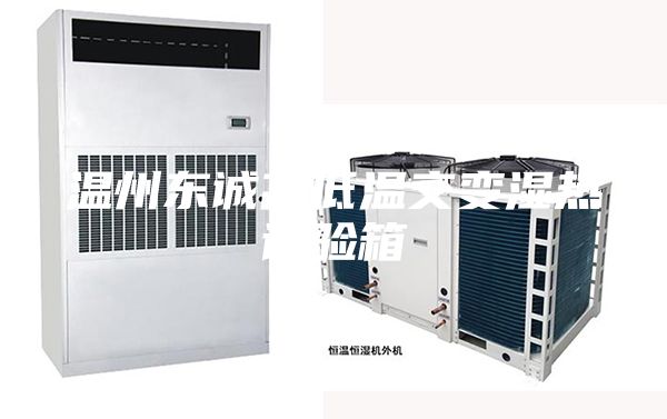 溫州東誠(chéng)高低溫交變濕熱試驗(yàn)箱