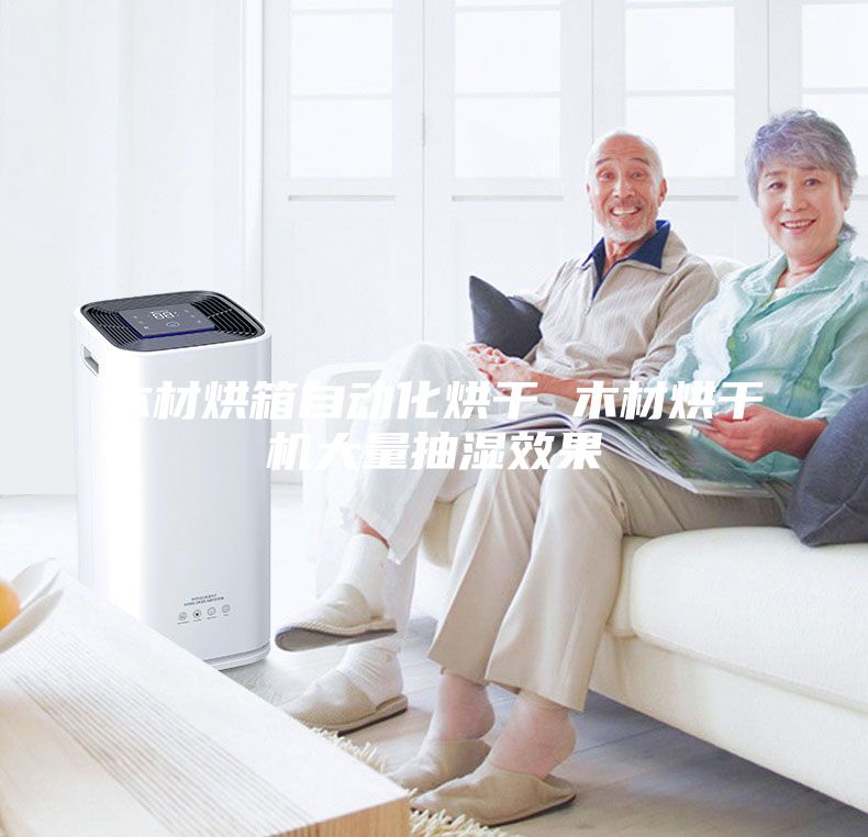 木材烘箱自動(dòng)化烘干 木材烘干機(jī)大量抽濕效果