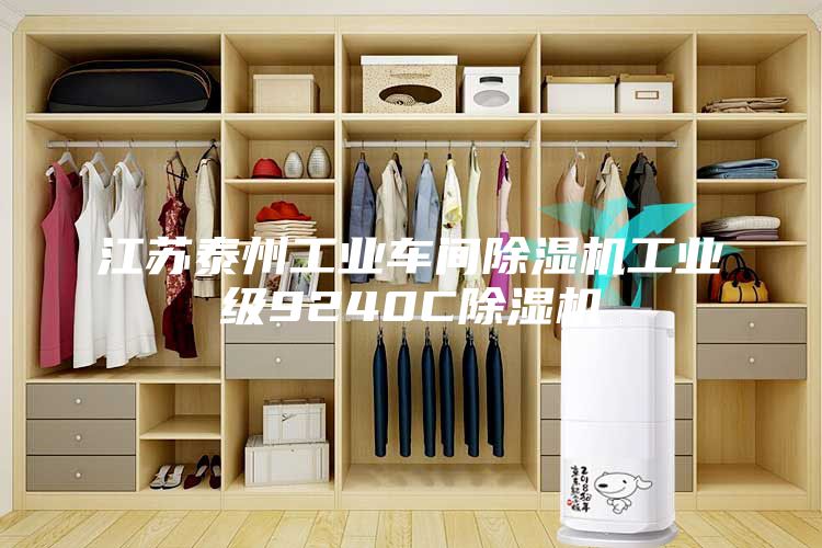 江蘇泰州工業(yè)車(chē)間除濕機(jī)工業(yè)級(jí)9240C除濕機(jī)
