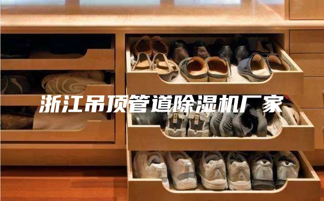 浙江吊頂管道除濕機(jī)廠家
