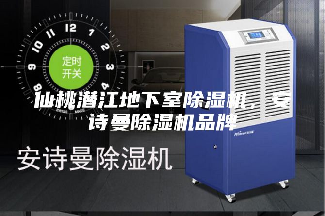 仙桃潛江地下室除濕機(jī)，安詩曼除濕機(jī)品牌