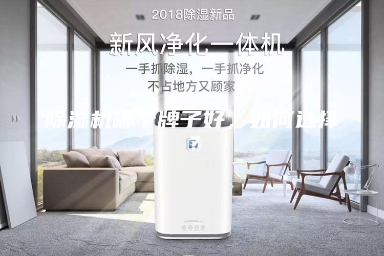 除濕機哪個牌子好，如何選擇？