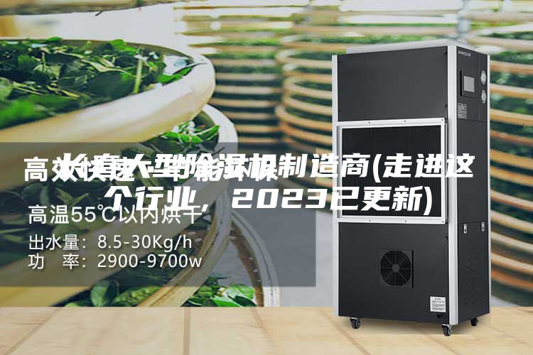 長春大型除濕機制造商(走進這個行業(yè)，2023已更新)