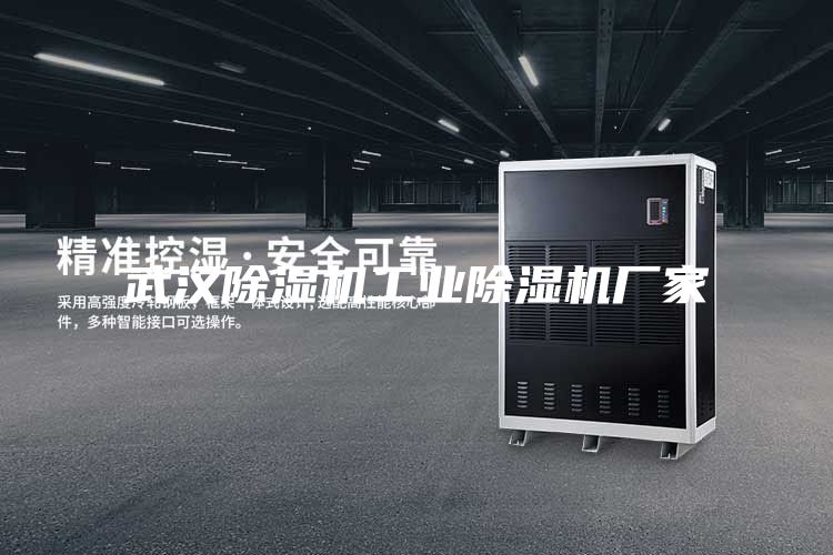 武漢除濕機(jī)工業(yè)除濕機(jī)廠家