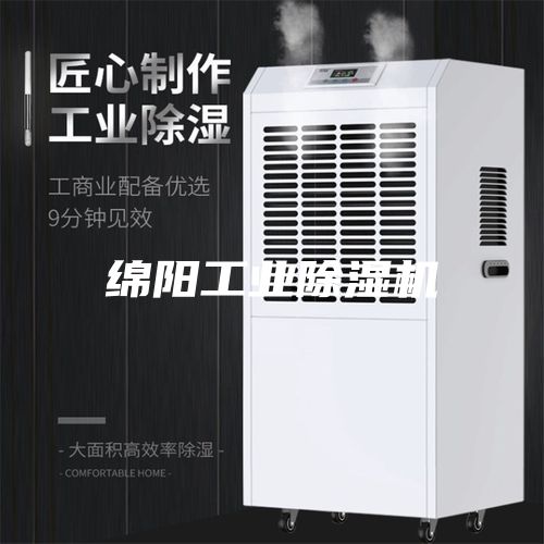 綿陽工業(yè)除濕機(jī)