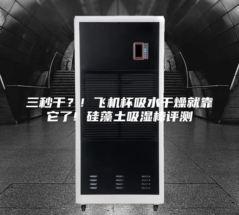 三秒干？! 飛機杯吸水干燥就靠它了! 硅藻土吸濕棒評測