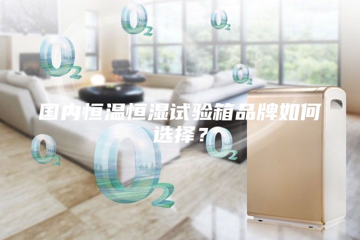 國(guó)內(nèi)恒溫恒濕試驗(yàn)箱品牌如何選擇？