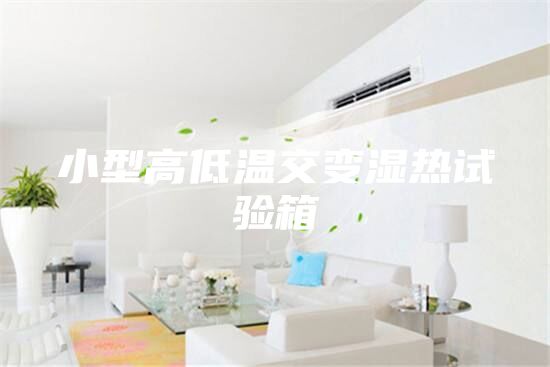 小型高低溫交變濕熱試驗箱