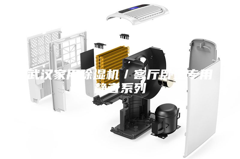 武漢家用除濕機(jī)／客廳臥室專(zhuān)用靜音系列