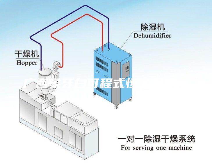 廣西象牙白可程式恒溫恒濕儀