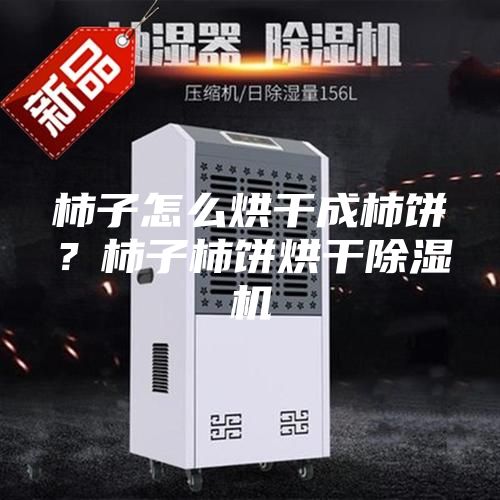 柿子怎么烘干成柿餅？柿子柿餅烘干除濕機(jī)