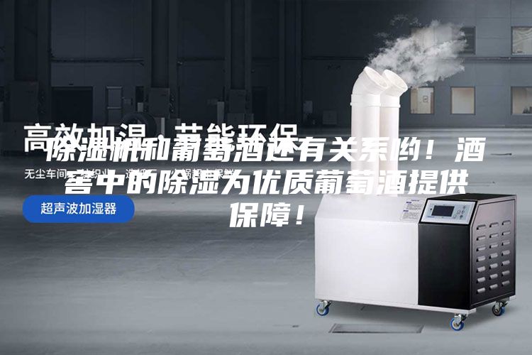 除濕機(jī)和葡萄酒還有關(guān)系喲！酒窖中的除濕為優(yōu)質(zhì)葡萄酒提供保障！