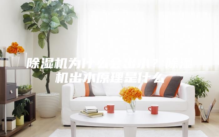 除濕機為什么會出水？除濕機出水原理是什么