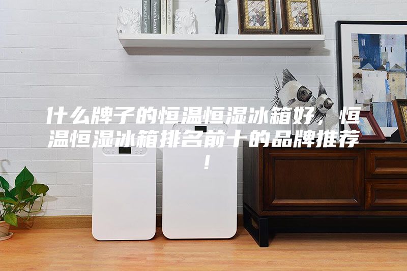 什么牌子的恒溫恒濕冰箱好，恒溫恒濕冰箱排名前十的品牌推薦！
