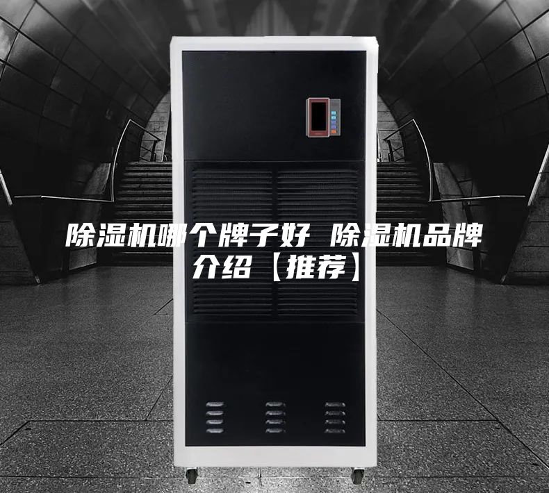 除濕機(jī)哪個牌子好 除濕機(jī)品牌介紹【推薦】