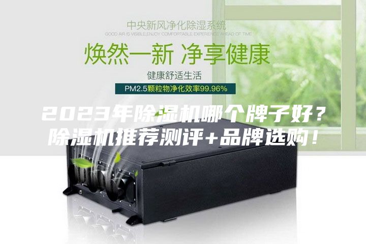 2023年除濕機哪個牌子好？除濕機推薦測評+品牌選購！