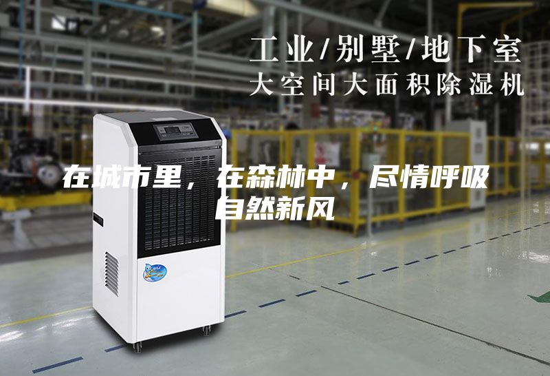 在城市里，在森林中，盡情呼吸自然新風