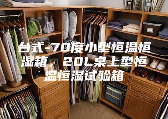 臺式-70度小型恒溫恒濕箱，20L桌上型恒溫恒濕試驗箱